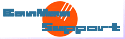 BanMan�@Support